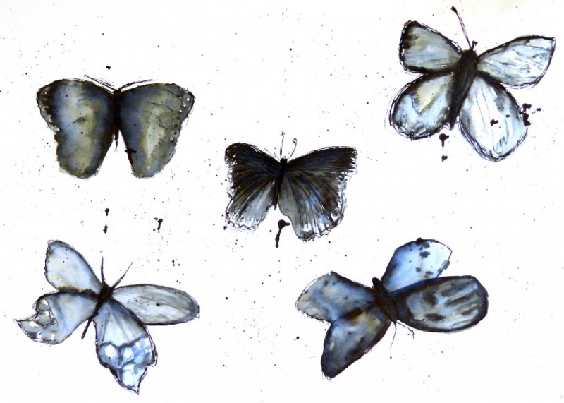 Kathryn Chorley Art and Design